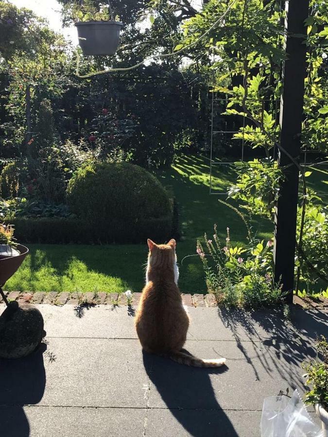 B&B 'T Pakhuis Meteren Esterno foto